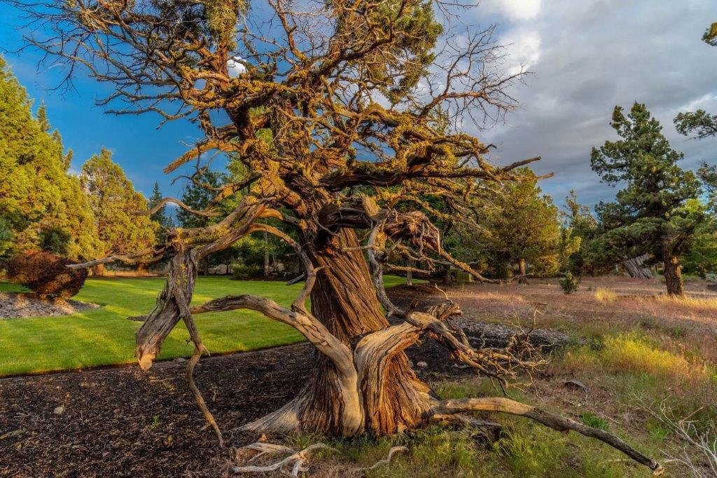 Grandridge - Residential