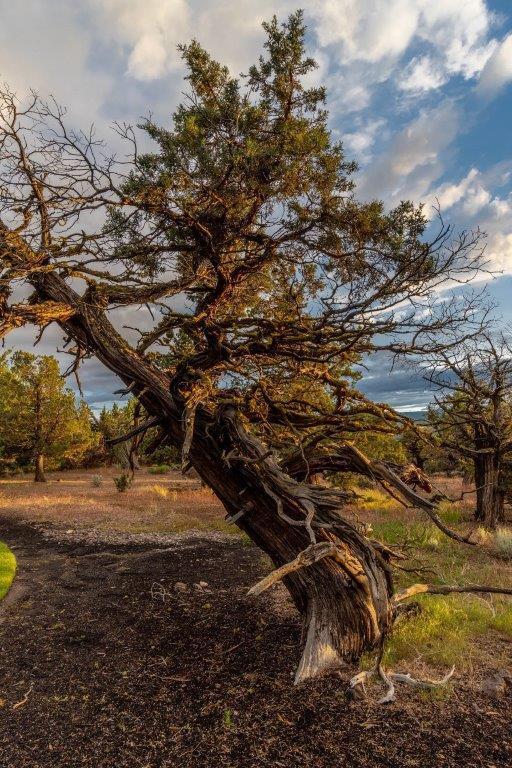 Grandridge - Residential