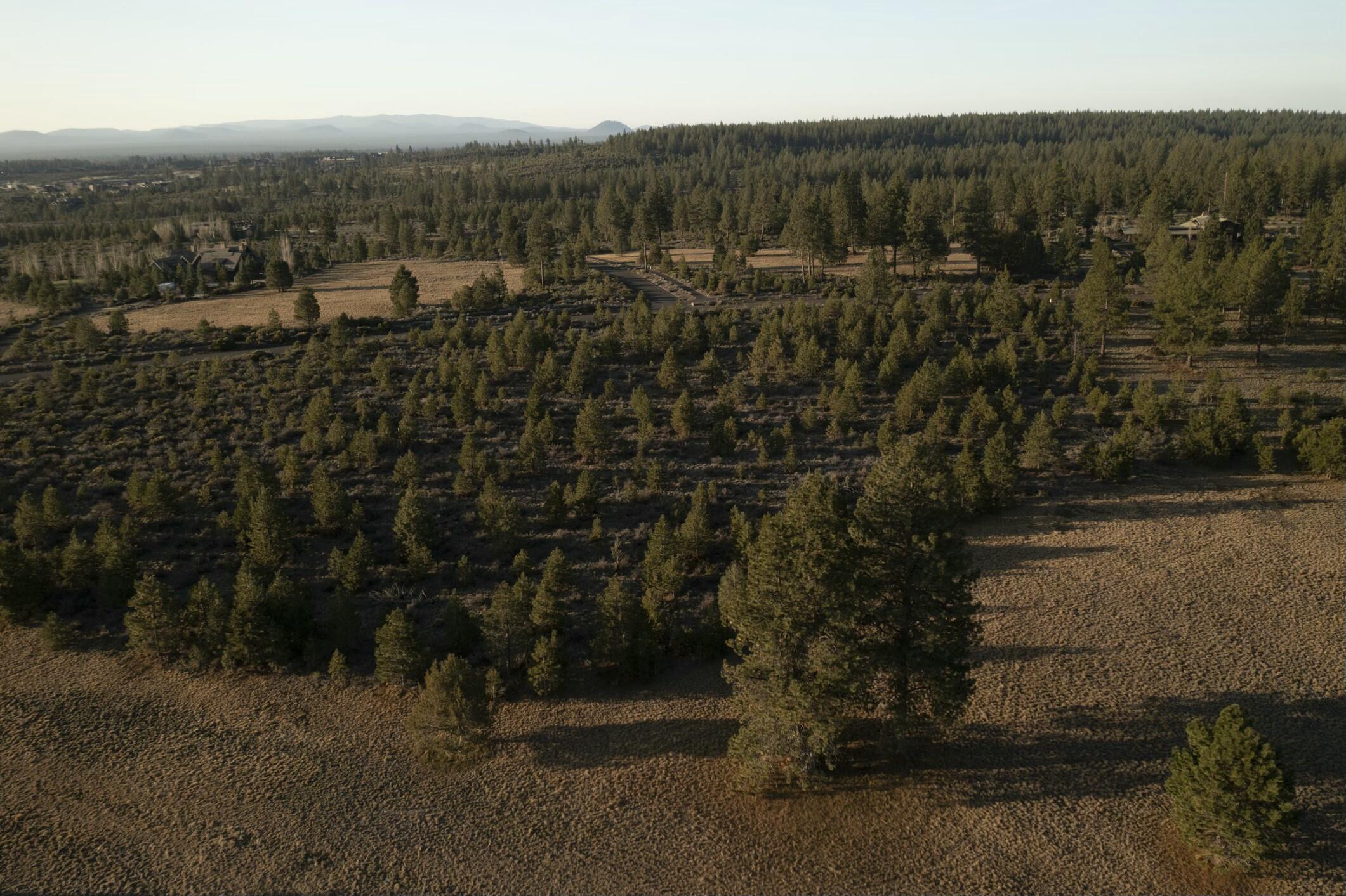 The Highlands at Broken Top - Land