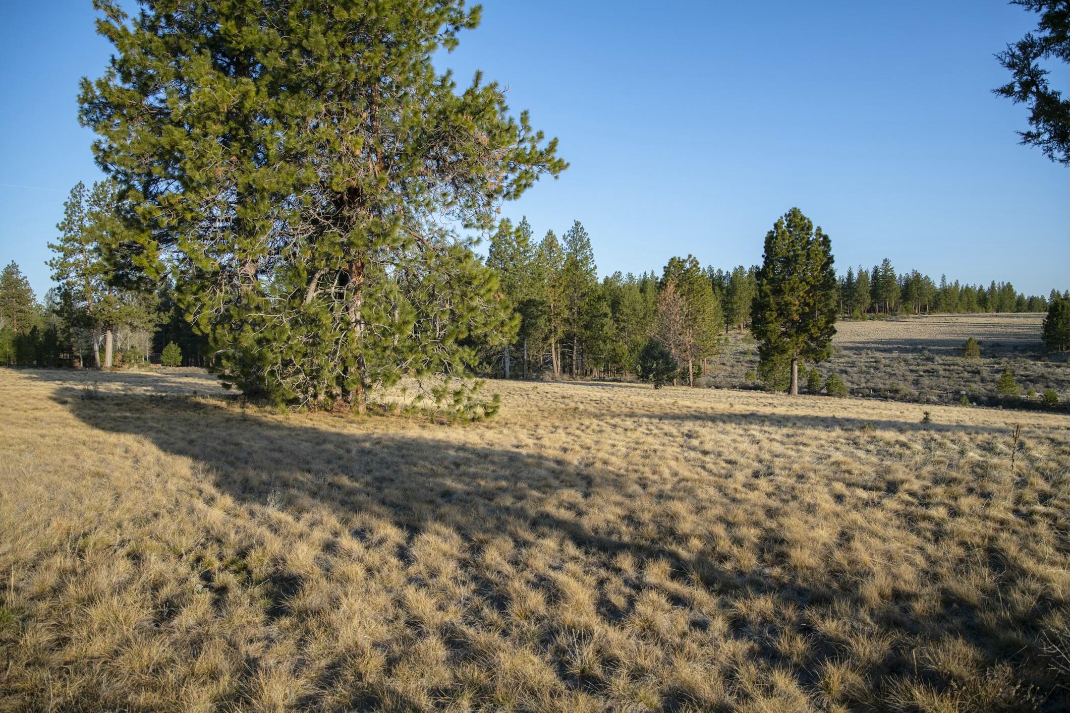 The Highlands at Broken Top - Land