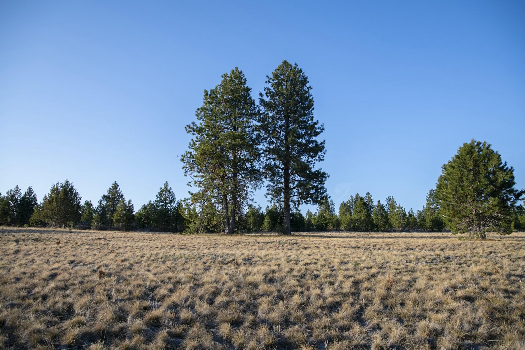 The Highlands at Broken Top - Land