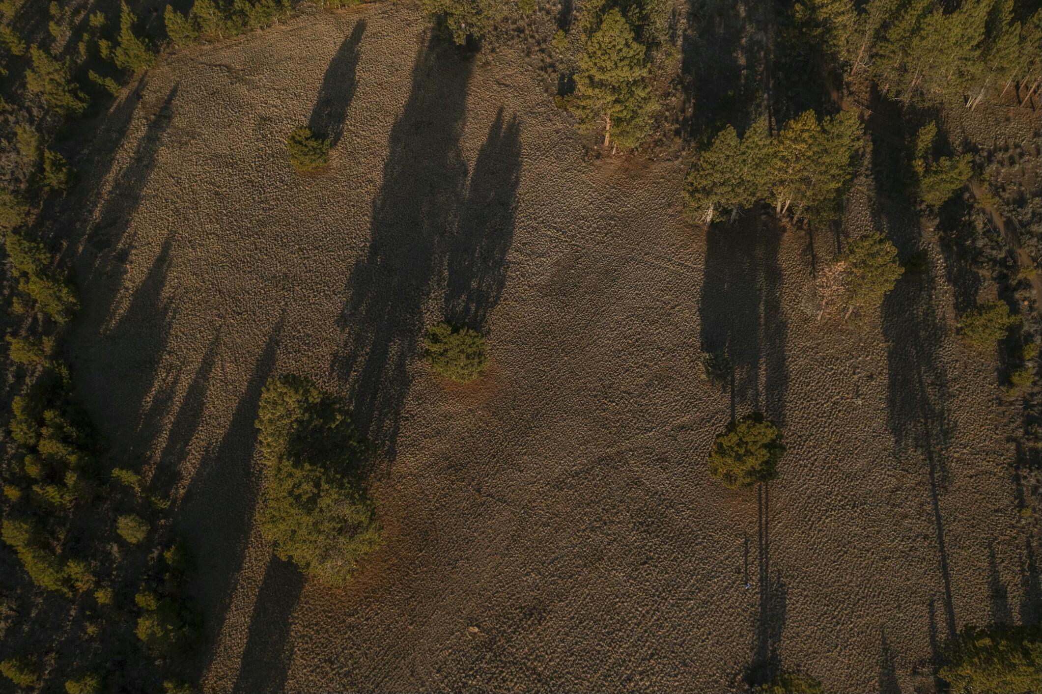 The Highlands at Broken Top - Land