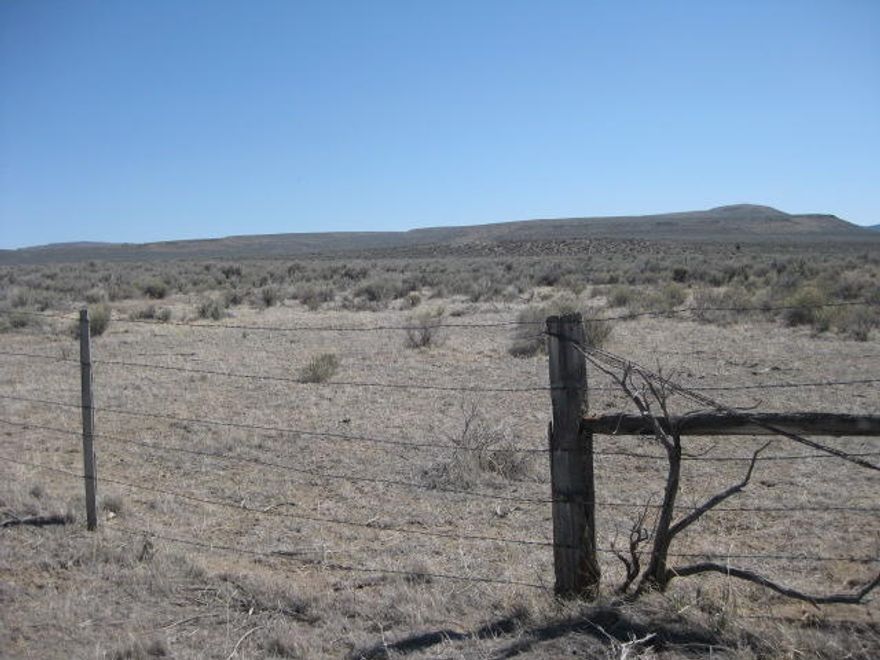 Here is that 40 acres you have been looking for and awaiting your ideas. Not to far from Christmas Valley, but far enough to afford you some privacy. Make this your get a way or get your C.U.P. and build a permanent home site. Run into town and have a nice lunch at one of the local restaurants, play a game of golf, go to the library, gas up, grab some groceries or supplies at one of the hardware stores, and more. Head back out and enjoy the wildlife as it meanders through. Enjoy the high desert and enjoy what the high desert offers. Buyer to do their due diligence.