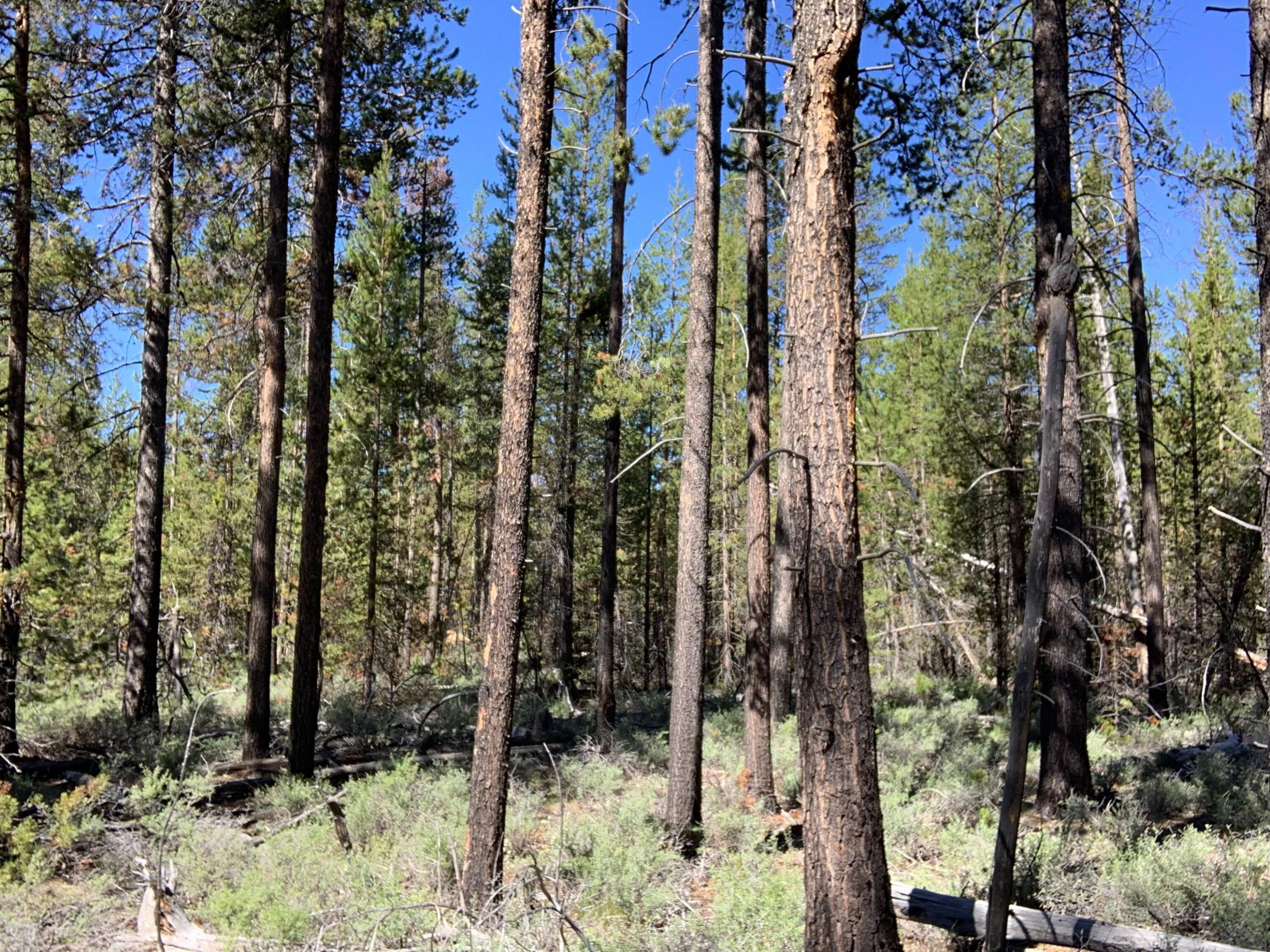 Meadow Crest Acres - Land