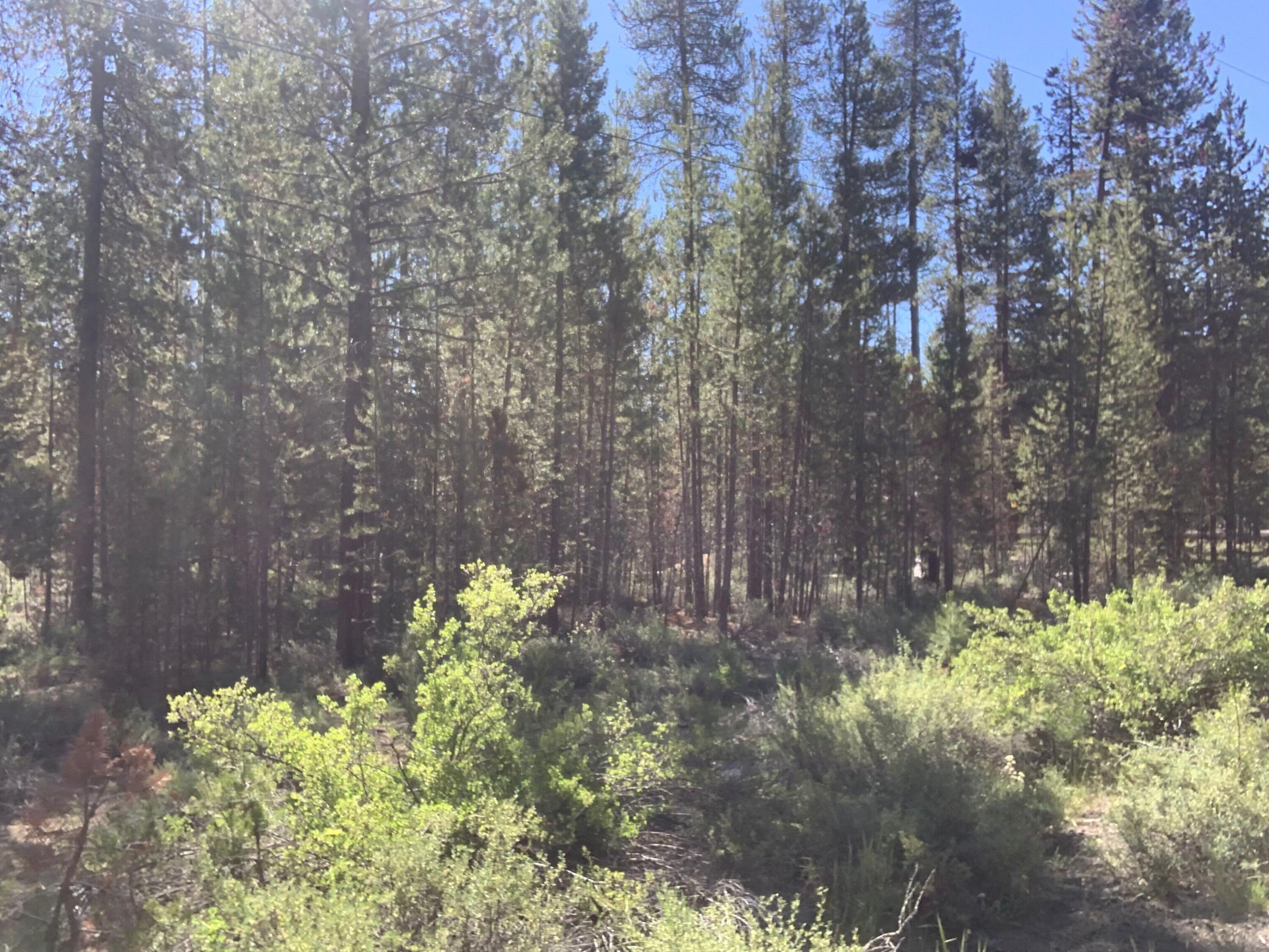 Meadow Crest Acres - Land