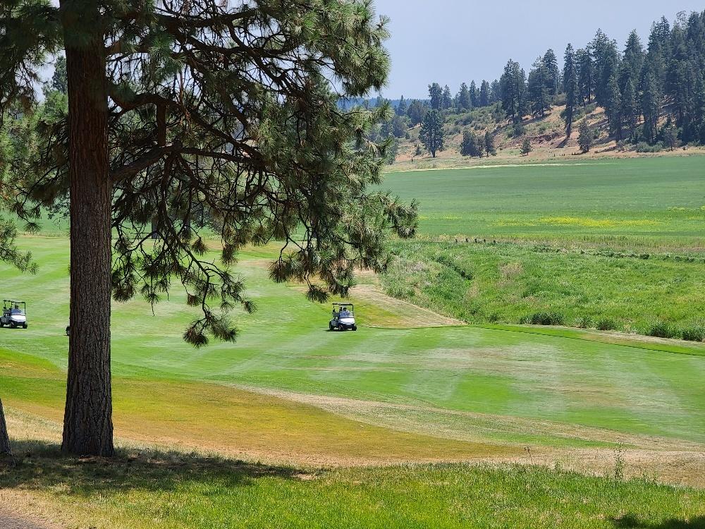 Running YResort - Residential