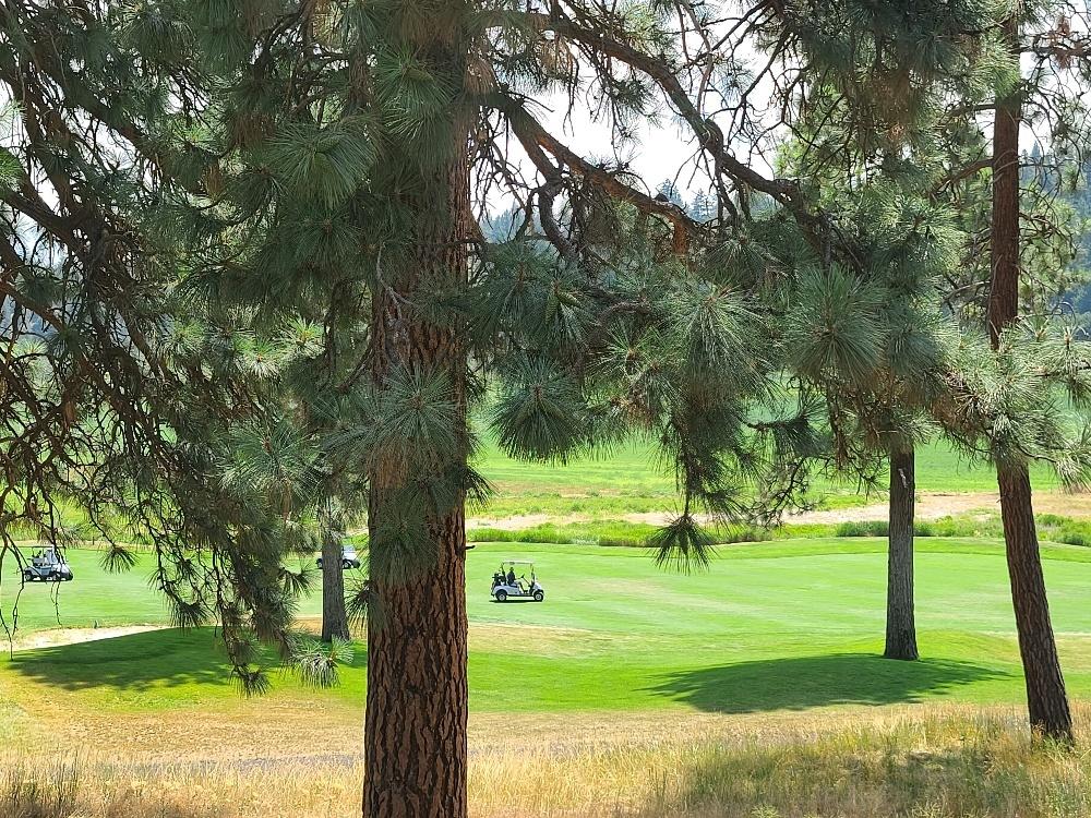 Running YResort - Residential