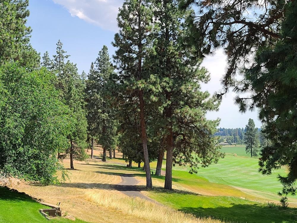 Running YResort - Residential