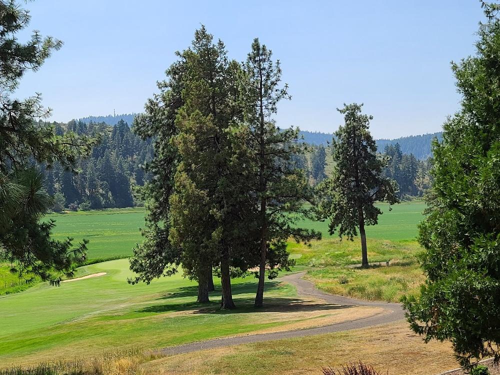 Running YResort - Residential