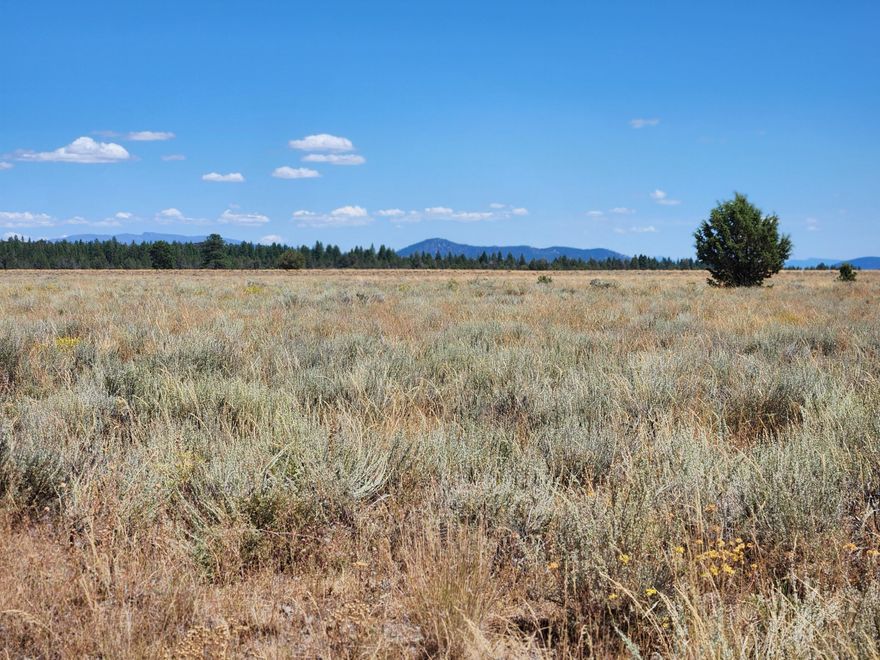 Wow! Almost 320 acres up on Tableland!
Access is from Tableland Road. See forever from this mostly flat parcel with a scattering of trees on the southwest portion! Great place for riding quads or dirt bikes, viewing wildlife, or other outdoor activity. Zoning is Non-Resource. Building may be possible with a Conditional Use Permit. Formerly approved for LOP tags. Buyer is to perform their own due diligence regarding use. Great sunrises & sunsets guaranteed!