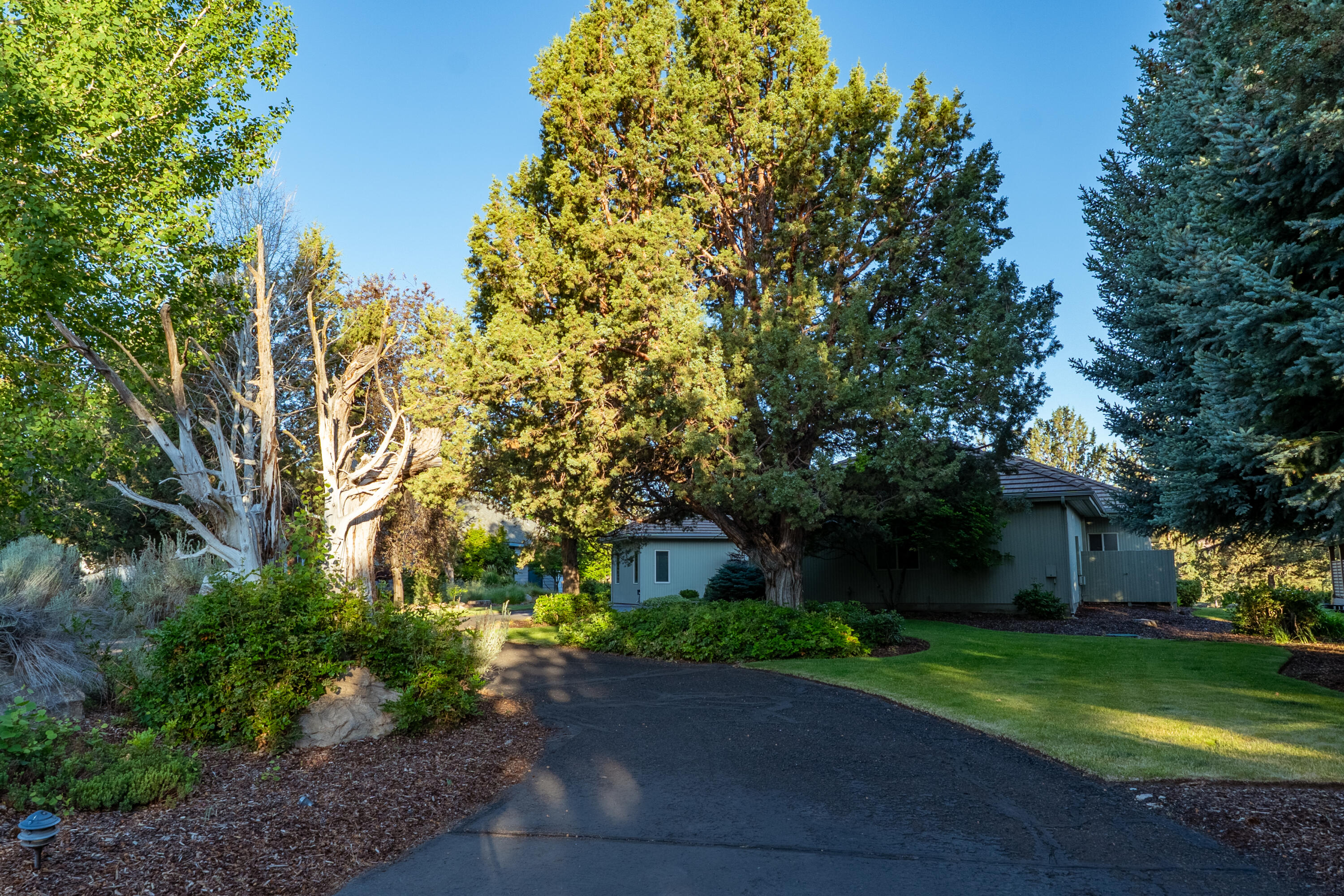 2103 Condor Court