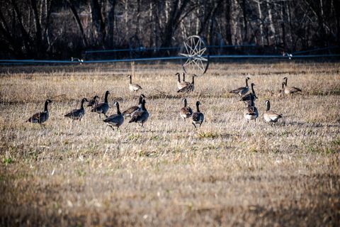 Tiny photo for 311 NE 7th Street, John Day, OR 97845 (MLS # 220214711)