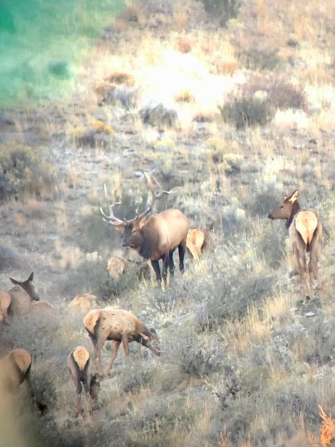 Tiny photo for 311 NE 7th Street, John Day, OR 97845 (MLS # 220214711)