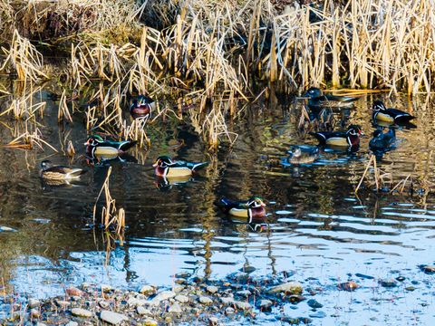 Tiny photo for 311 NE 7th Street, John Day, OR 97845 (MLS # 220214711)