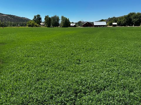 Tiny photo for 311 NE 7th Street, John Day, OR 97845 (MLS # 220214711)