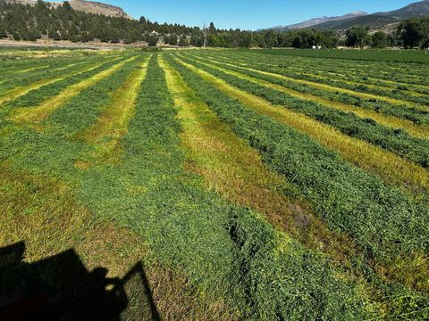 Tiny photo for 311 NE 7th Street, John Day, OR 97845 (MLS # 220214711)