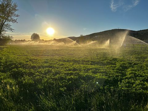 Tiny photo for 311 NE 7th Street, John Day, OR 97845 (MLS # 220214711)