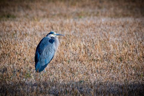 Tiny photo for 311 NE 7th Street, John Day, OR 97845 (MLS # 220214711)