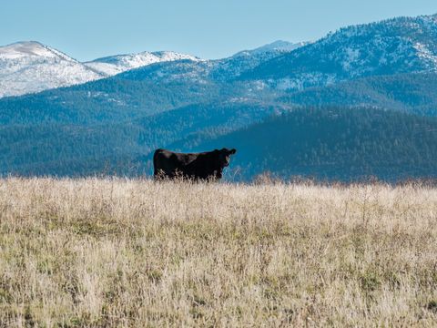 Tiny photo for 311 NE 7th Street, John Day, OR 97845 (MLS # 220214711)