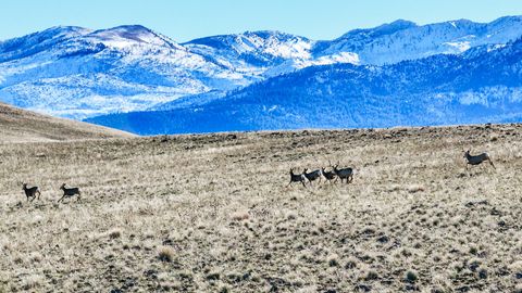 Tiny photo for 311 NE 7th Street, John Day, OR 97845 (MLS # 220214711)