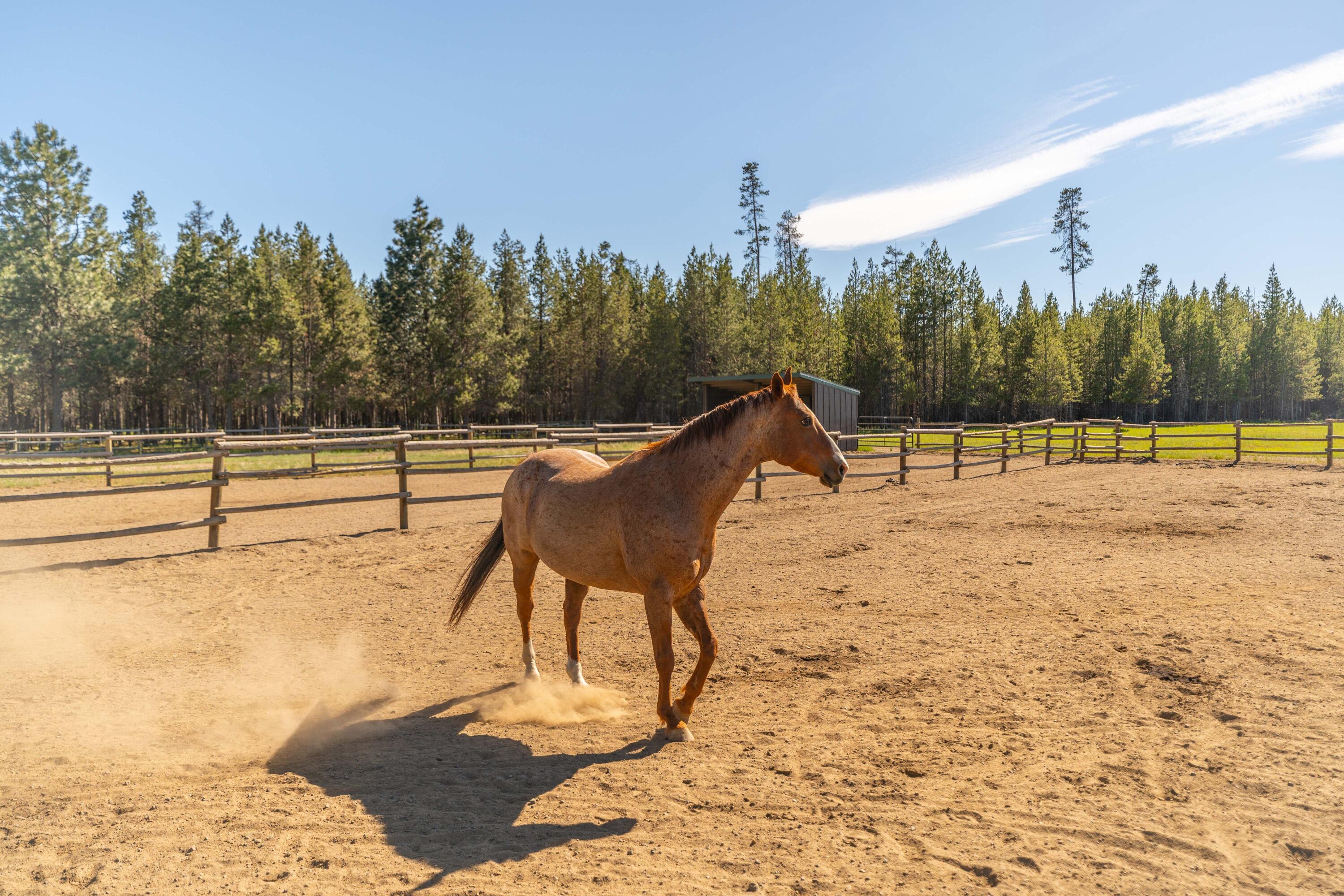 Vandevert Ranch - Land