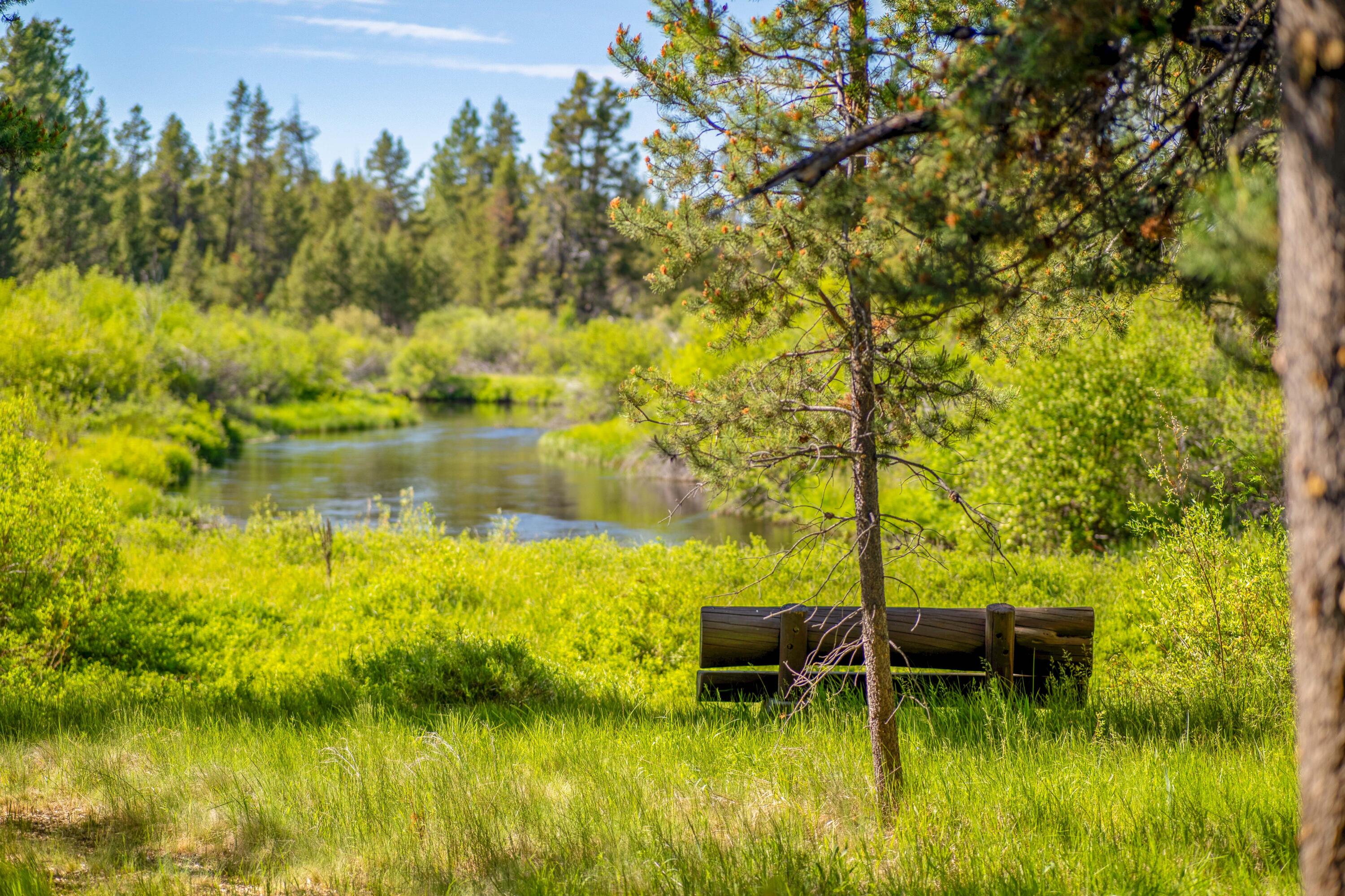 Vandevert Ranch - Land
