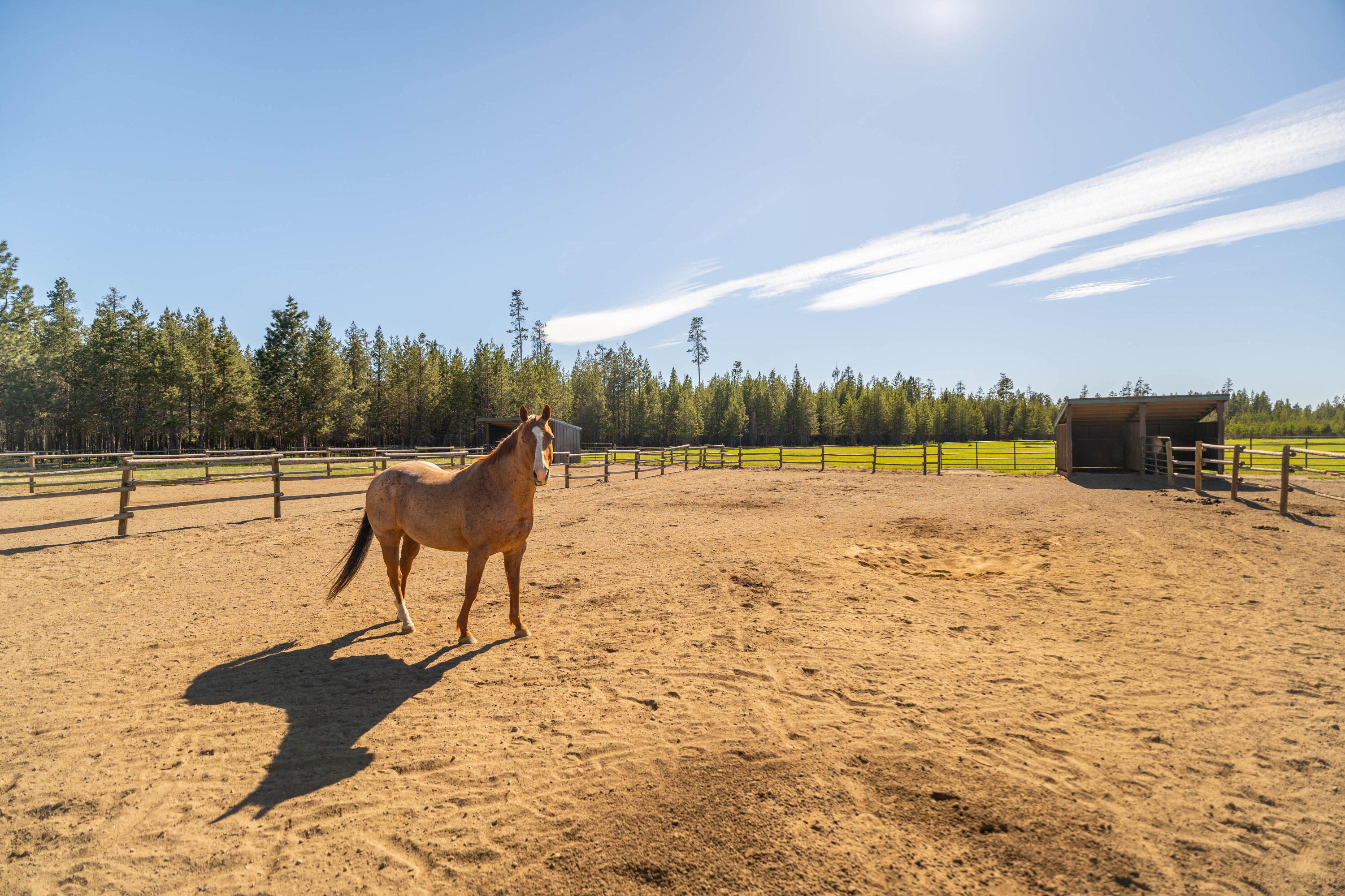 Vandevert Ranch - Land