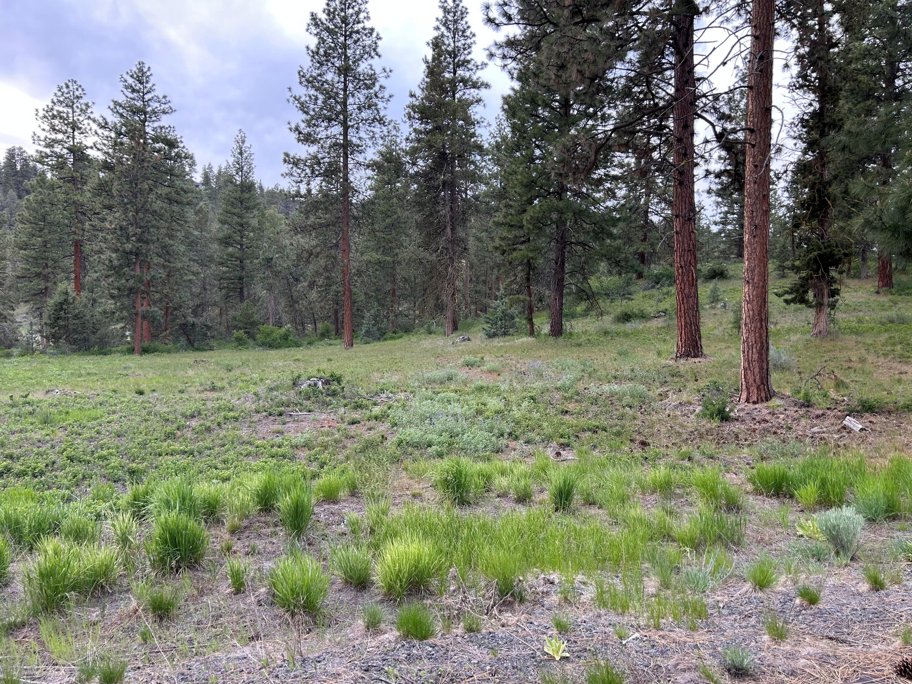 Ridgewater Subdivision -Phase 1 - Land