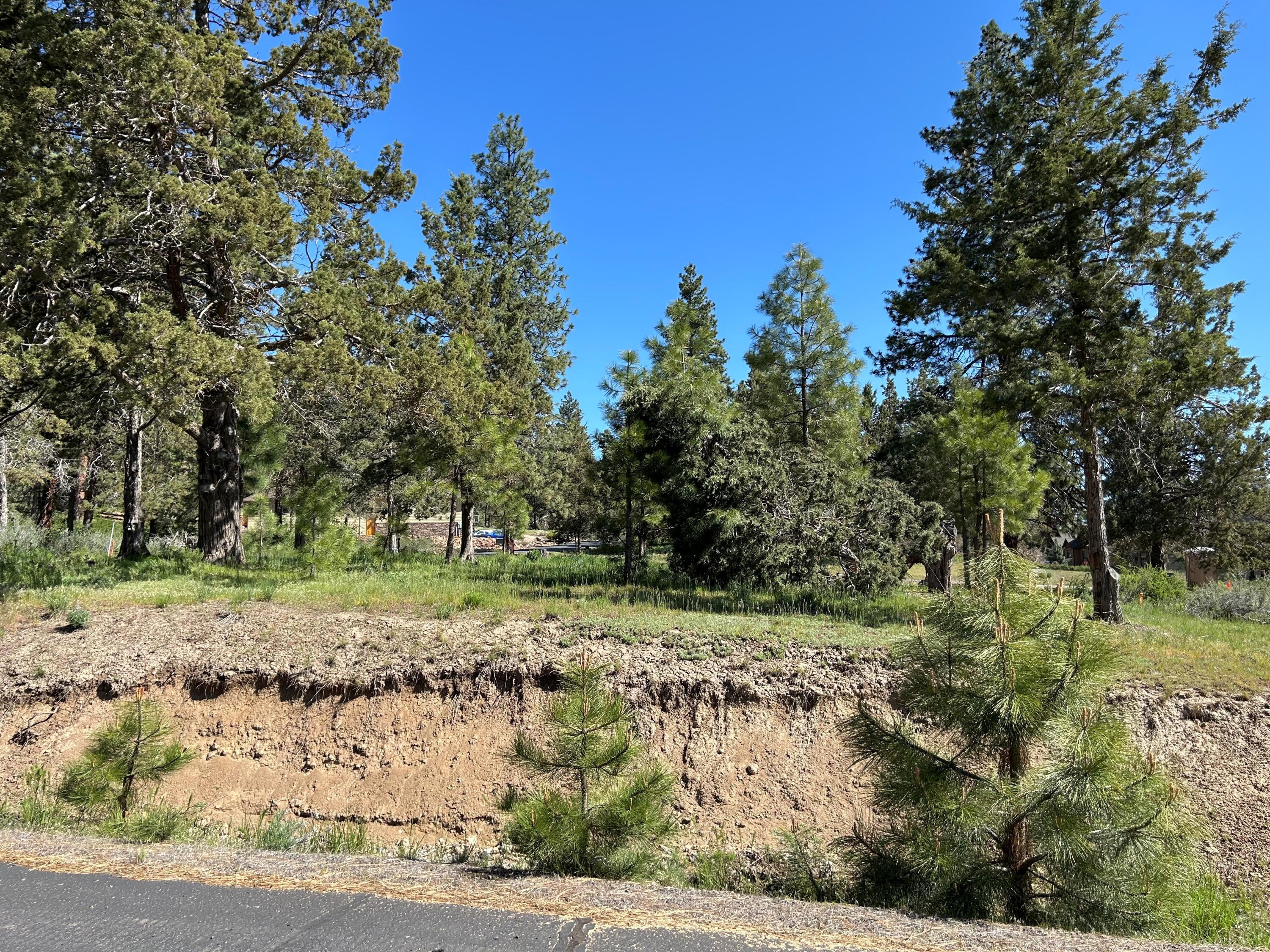 Ridgewater Subdivision -Phase 1 - Land