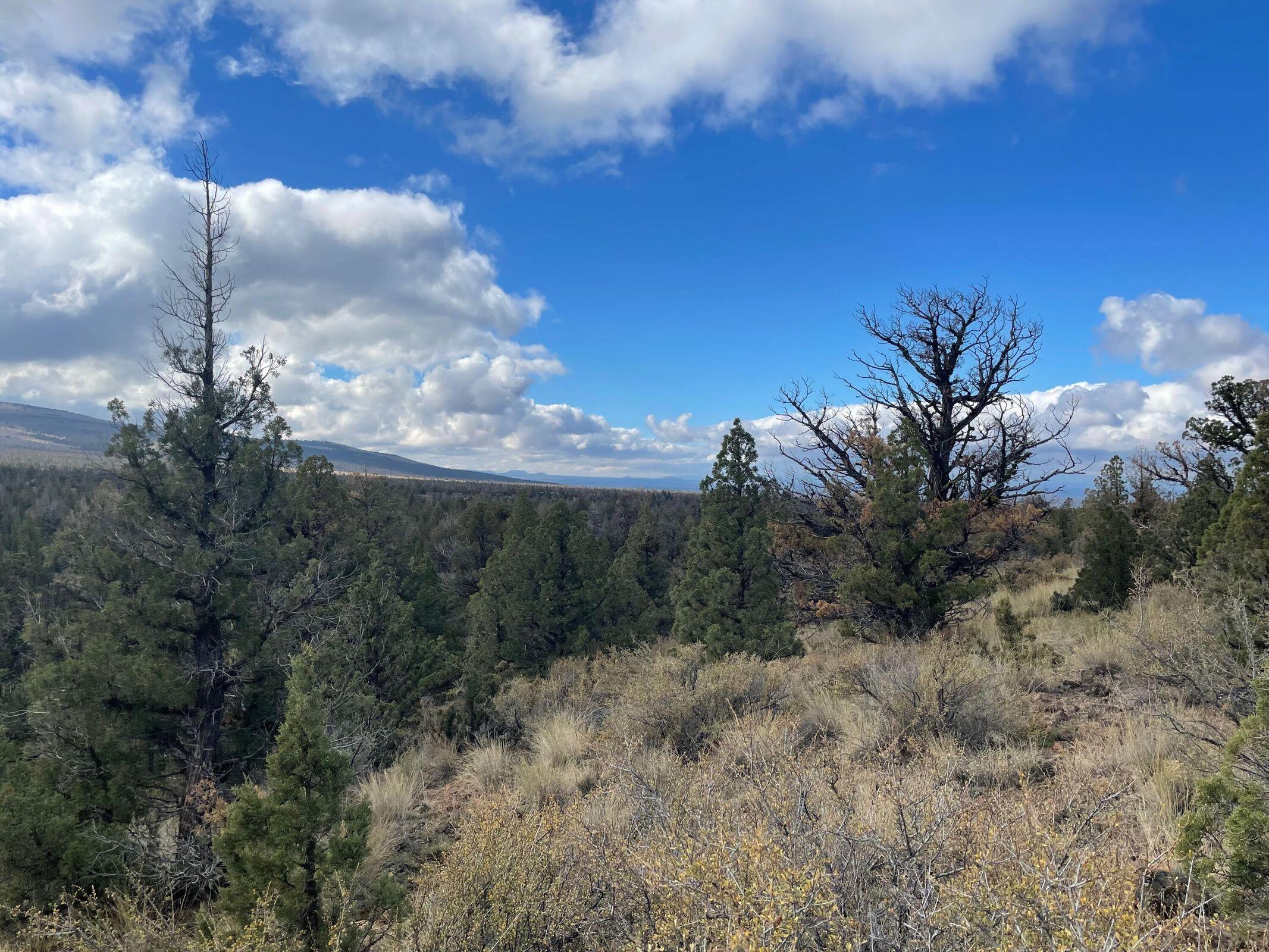 Juniper Acres - Land