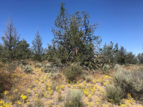 Tiny photo for SE Almond Lane, Prineville, OR 97754 (MLS # 220212321)