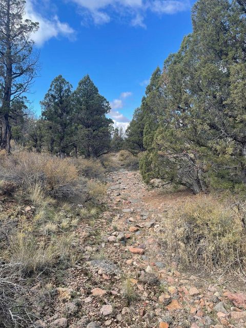 Tiny photo for SE Almond Lane, Prineville, OR 97754 (MLS # 220212321)