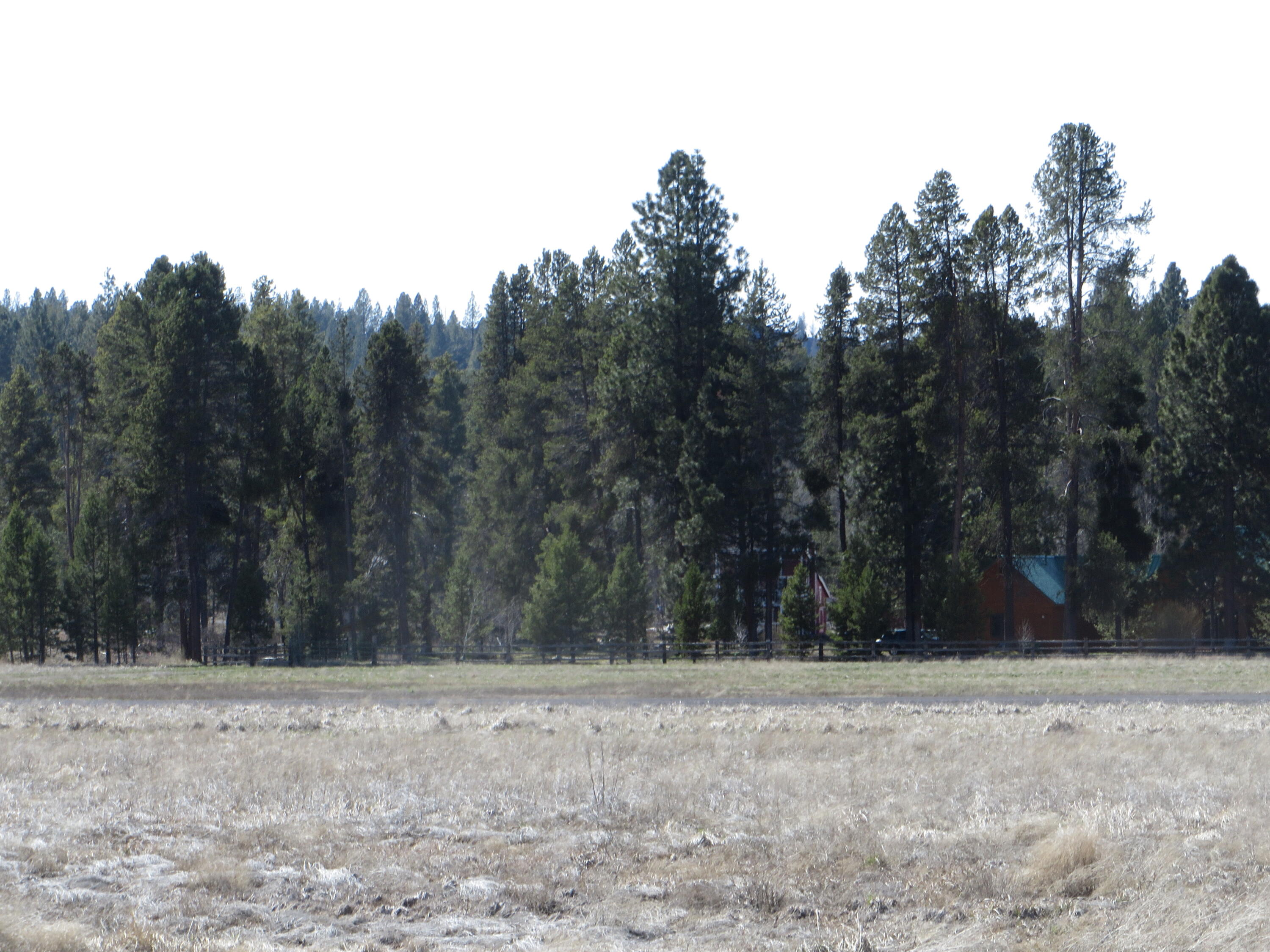 Pine Ridge Ranches - Land