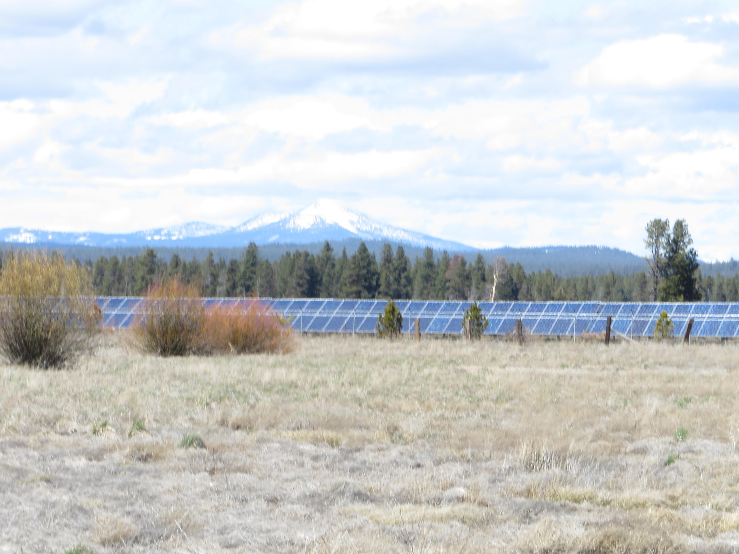 Pine Ridge Ranches - Land