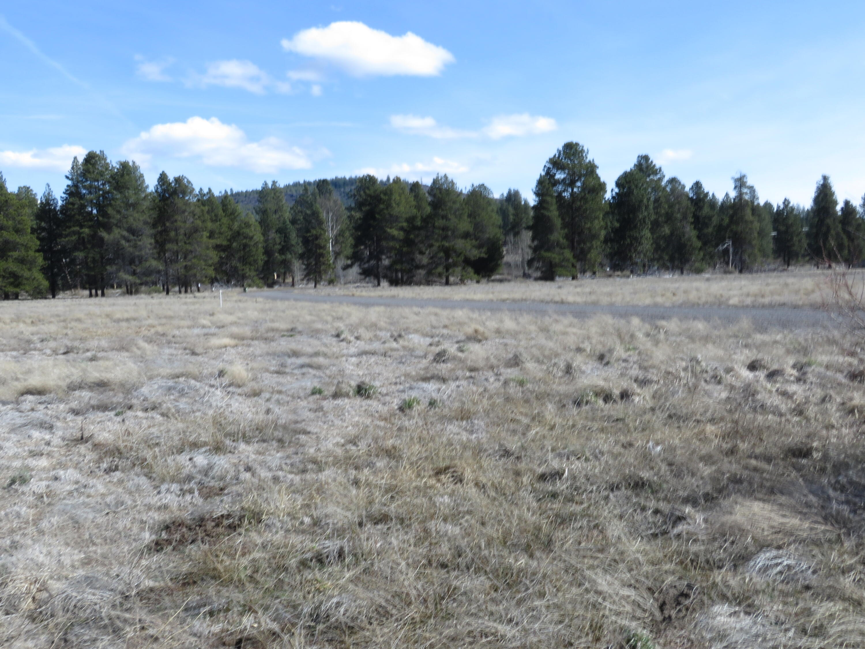 Pine Ridge Ranches - Land