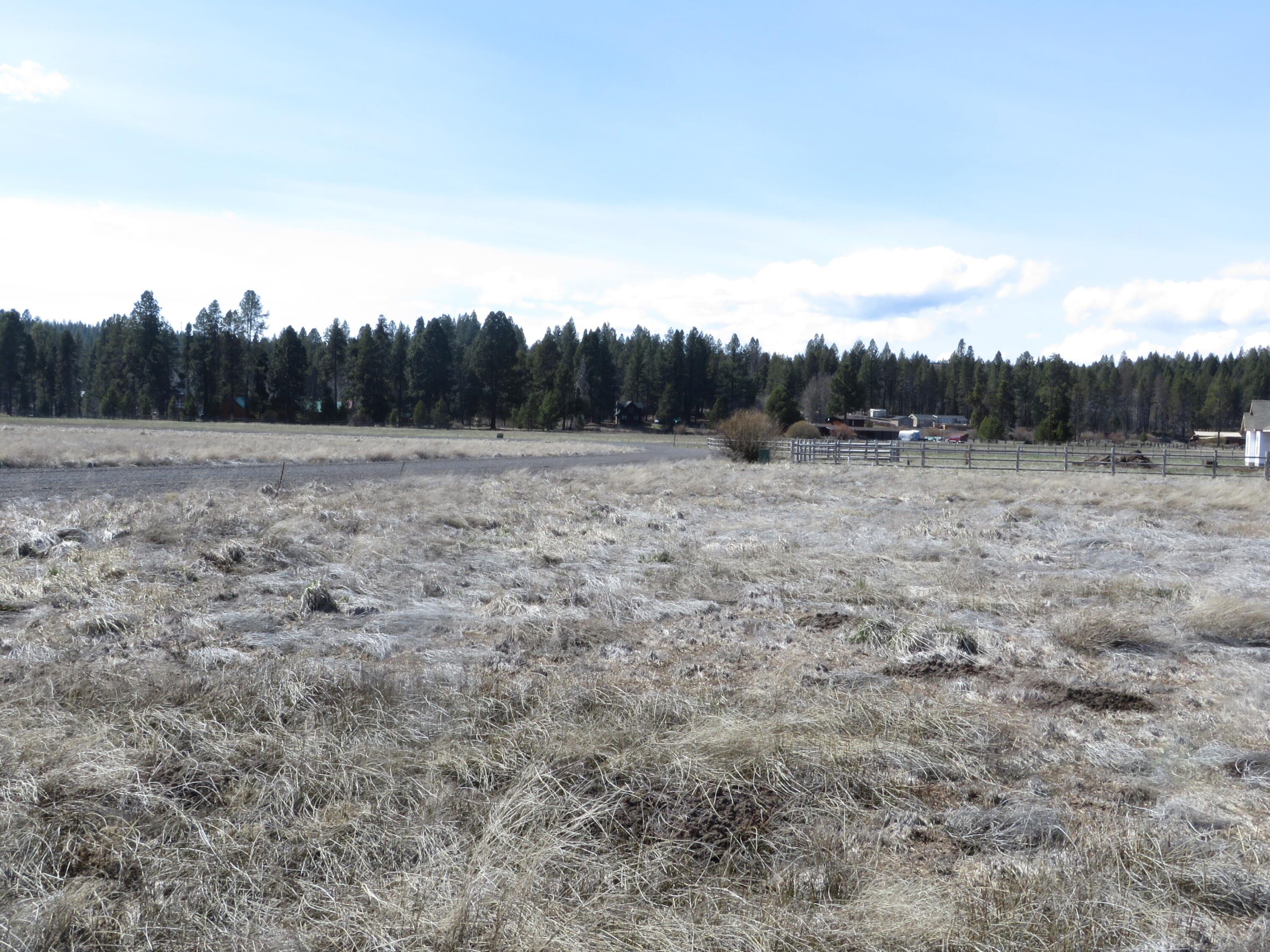 Pine Ridge Ranches - Land