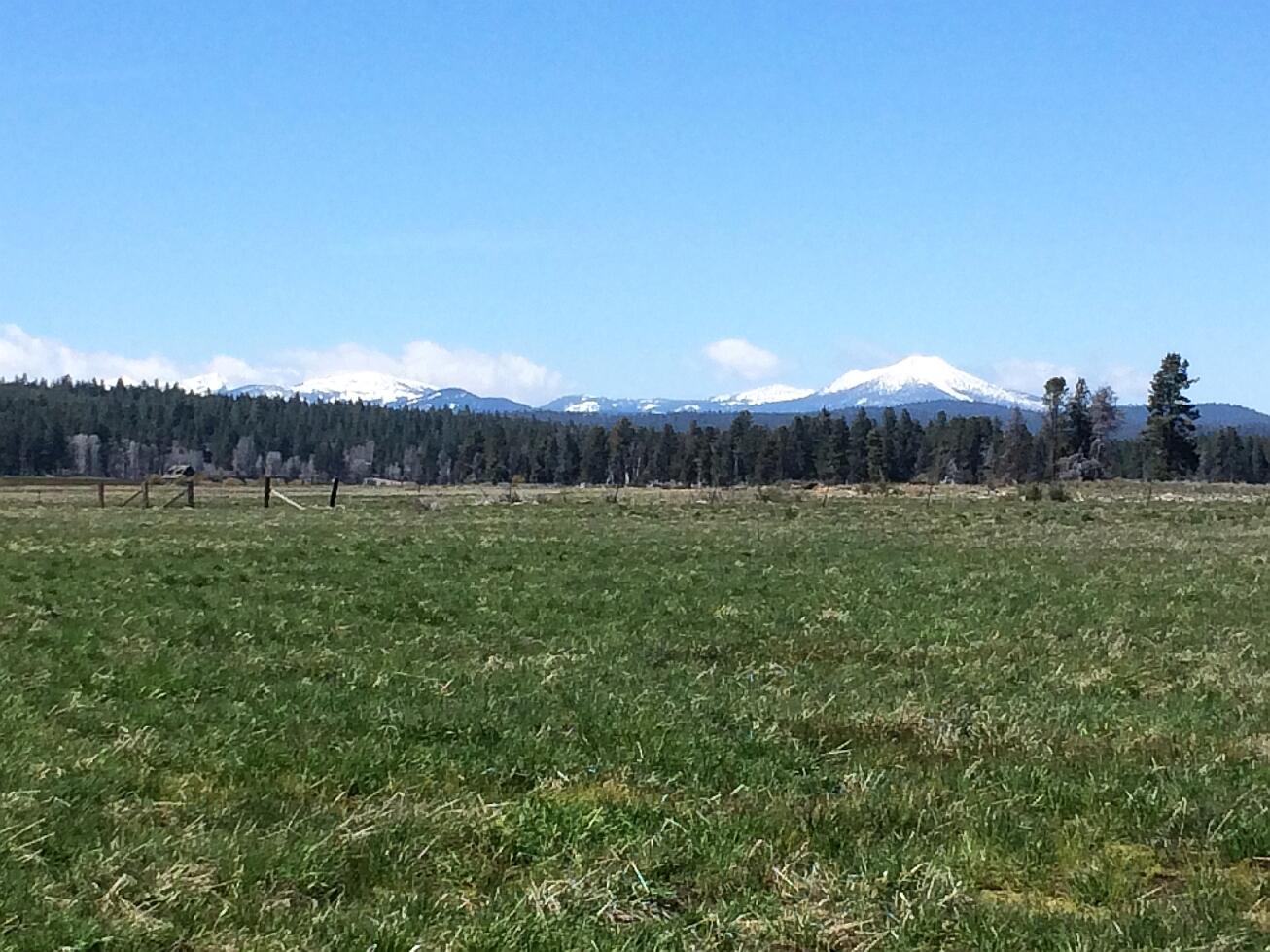 Pine Ridge Ranches - Land