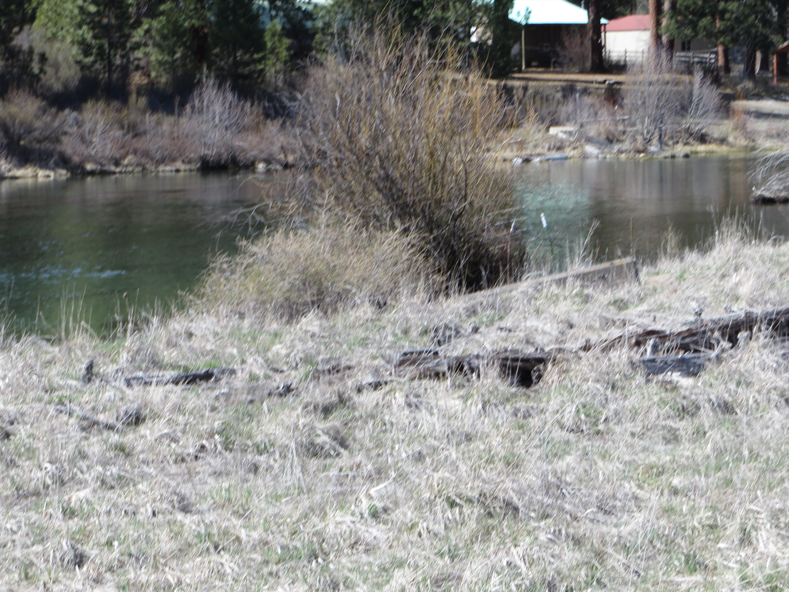 Pine Ridge Ranches - Land