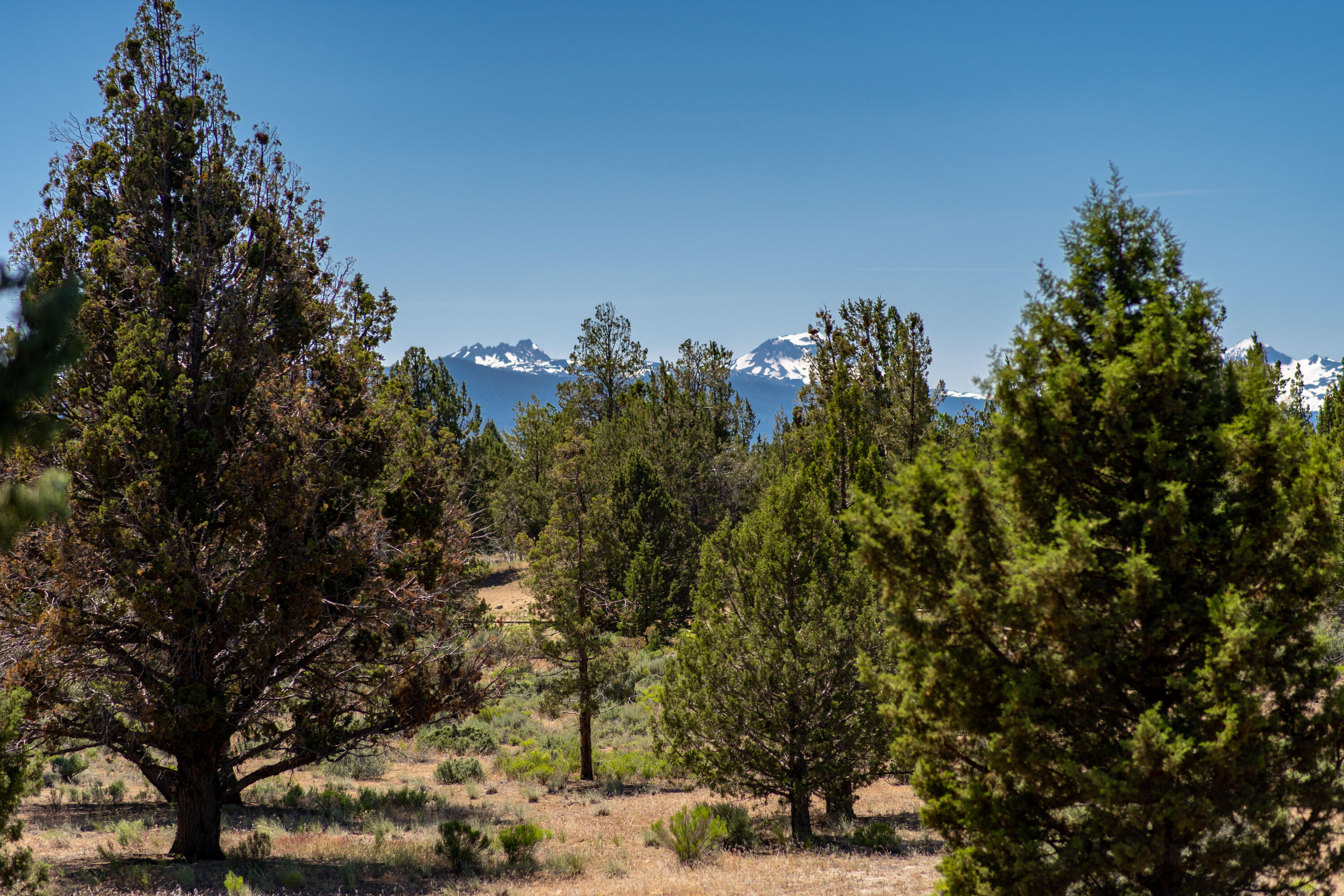 Lovestone Acres - Residential