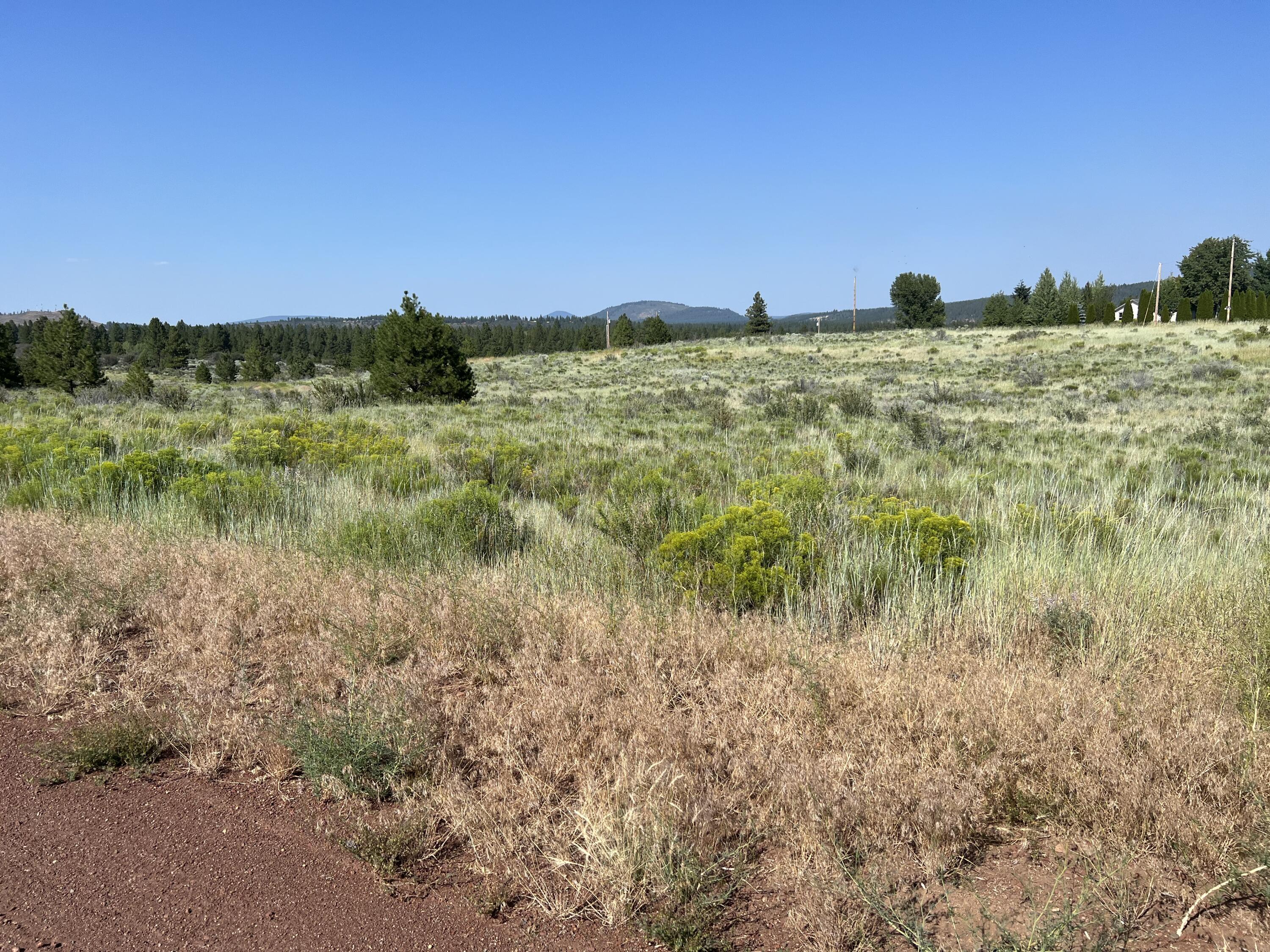 Oregon Shores - Land