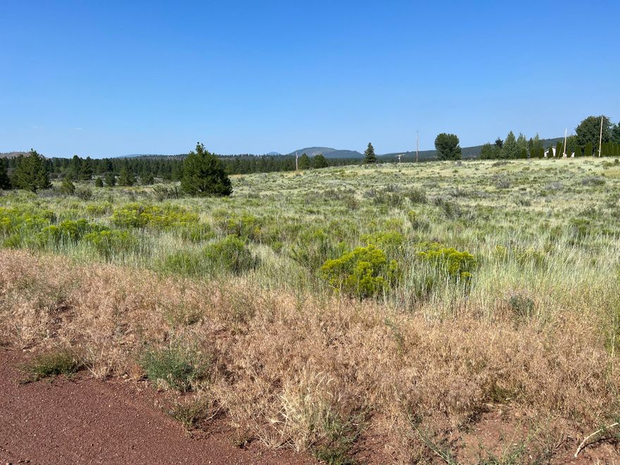 Nice .28 acre lot in OS 2 Sub-division, has there own community well, CCR's & yearly HOA fee of a current $200 per lot which covers water usage, road maintenance and access  to the Oregon Shores 2 recreational gated lakefront park for camping, RV Boat Launch. Just minutes to the Williamson River & Sprague River, approximately 30 miles to Crater Lake National Park. All potential buyers to perform their own Due Diligence with regard to locating the property corners.  The HOA fees are $200 per lot.