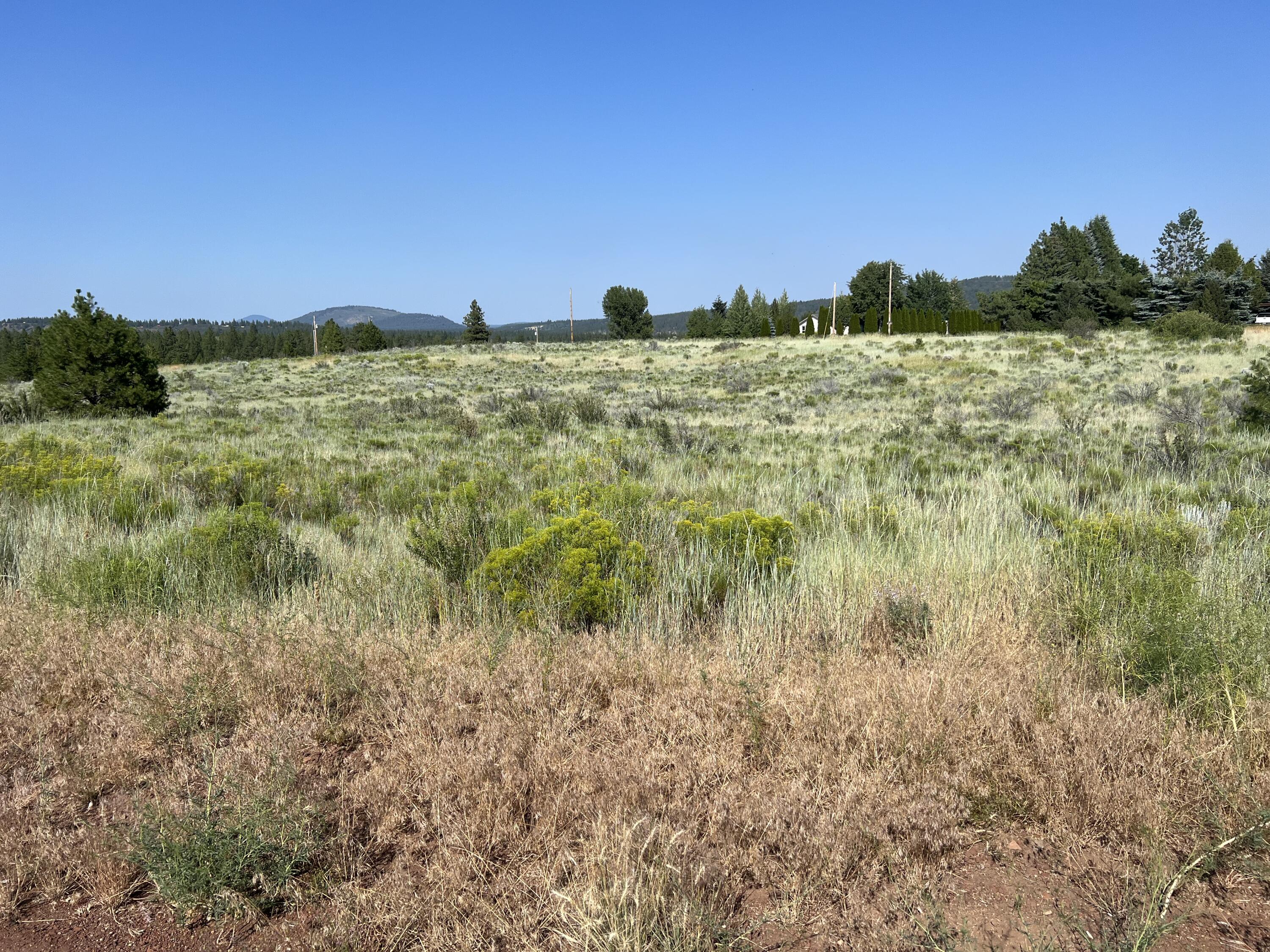 Oregon Shores - Land