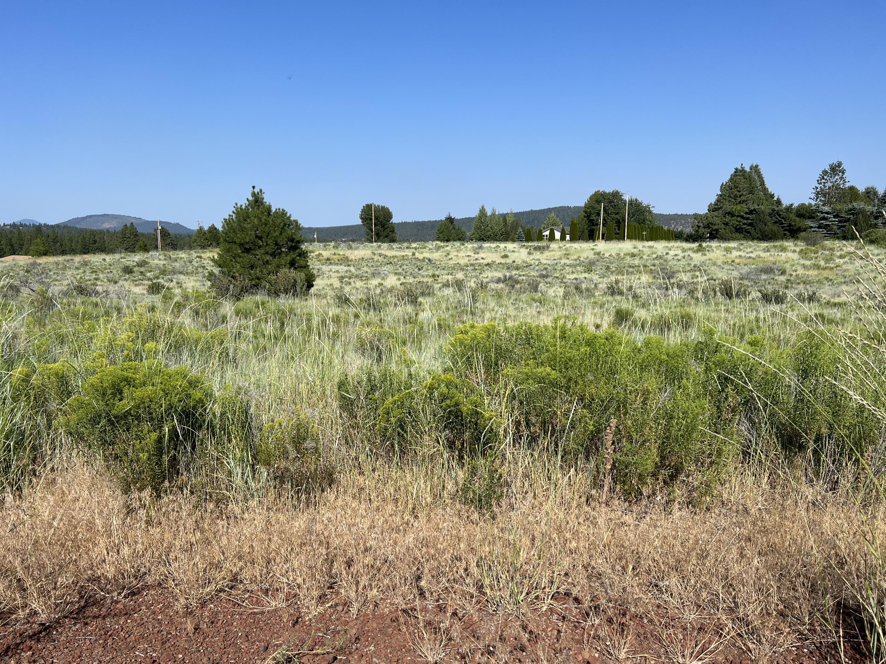 Oregon Shores - Land