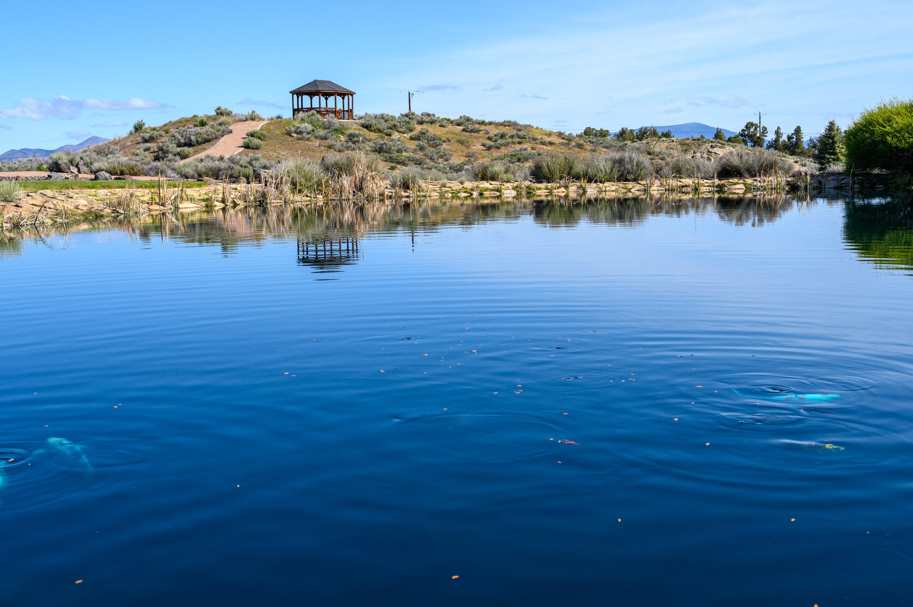 West Powell Butte Es - Residential