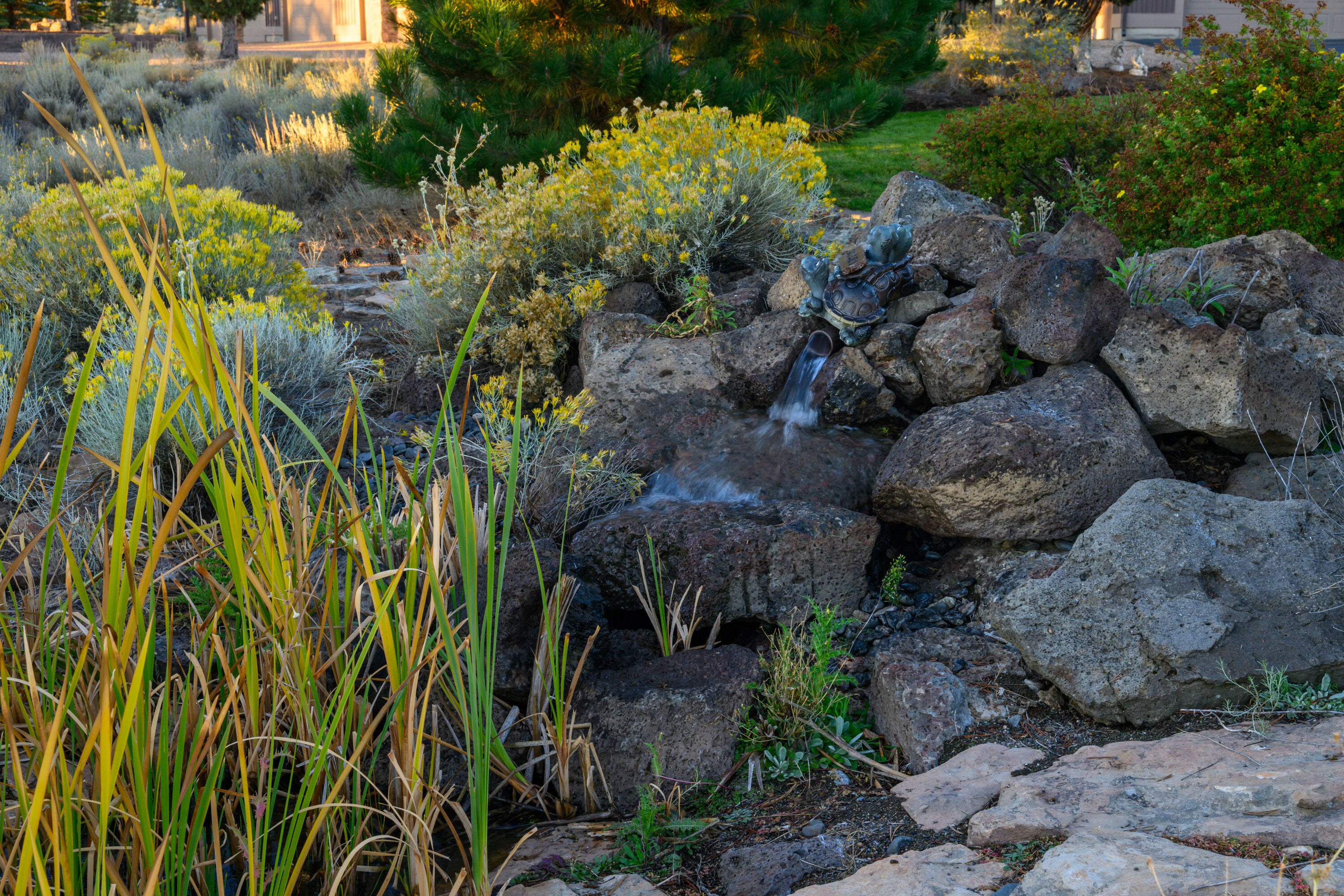 West Powell Butte Es - Residential