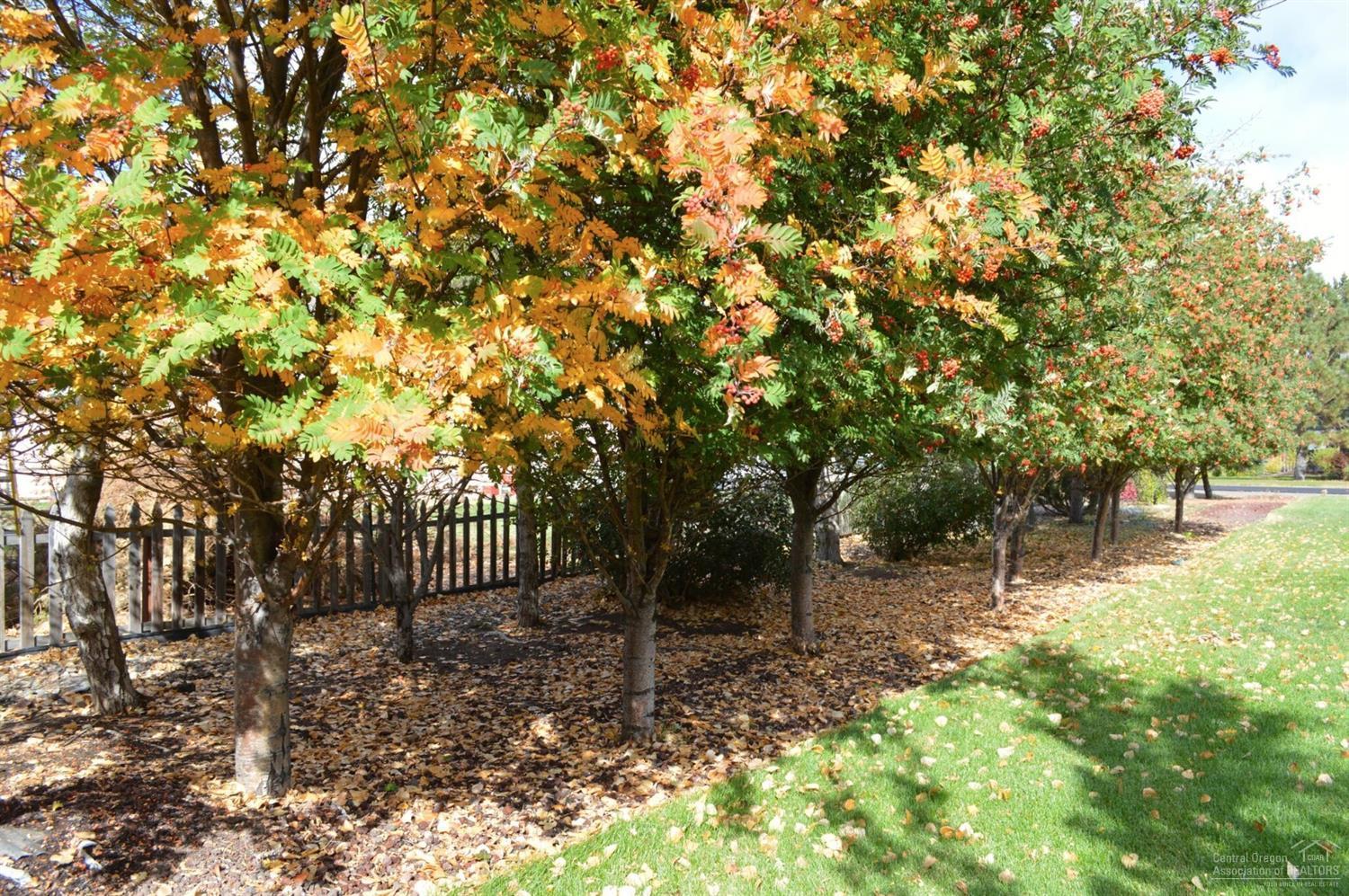 Warrington - Residential