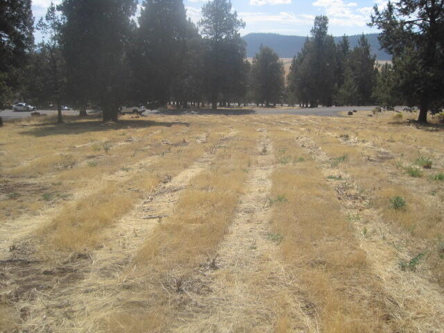 Running YResort - Land