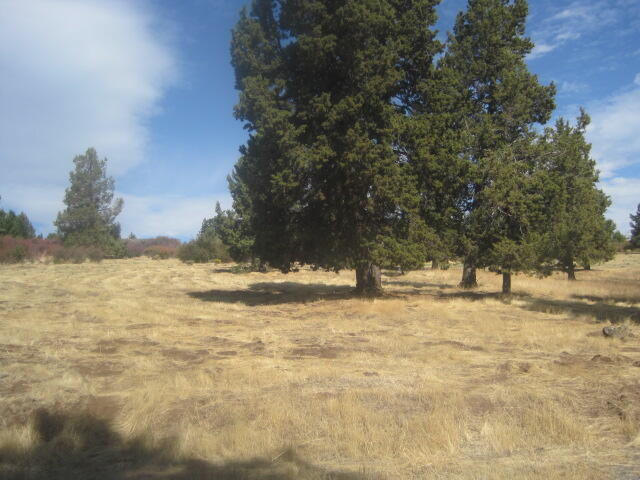 Running YResort - Land