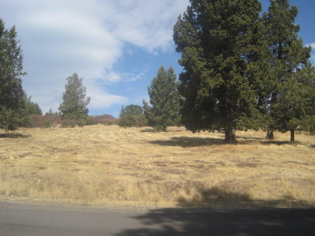 Running YResort - Land