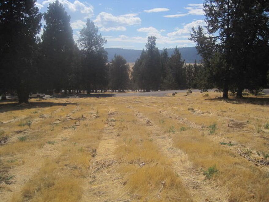 Beautiful Large .77 Acre Lot in the Running Y Ranch Resort just outside of city of Klamath Falls. Utilites are all underground and available for hook-up. Amenities include the only Arnold Palmer designed Golf Course in Oregon, pitch & putt course, 82 room lodge/hotel, Ruddy Duck Restaurant, Joyful Cafe, Sandhill Spa, Indoor Swimming Pool, Fitness center, Basketball, Pickleball, Volleyball courts, Walking Trails, In-Season Ice Skating and Roller-Skating Rink, In-Season Horse Back Riding, Store, Shops, World Mark Time Share, Close to Crater Lake, World Class Fishing, Camping, Hiking, Lava Beds National Monument, OIT College, Sky Lakes Hospital, and Beautiful Klamath Lake.